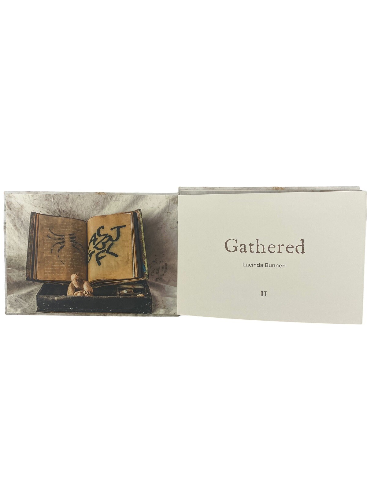 Gathered Lucinda Bunnen Photography Wabi-Sabi Art Book Set Signed Number 215/500