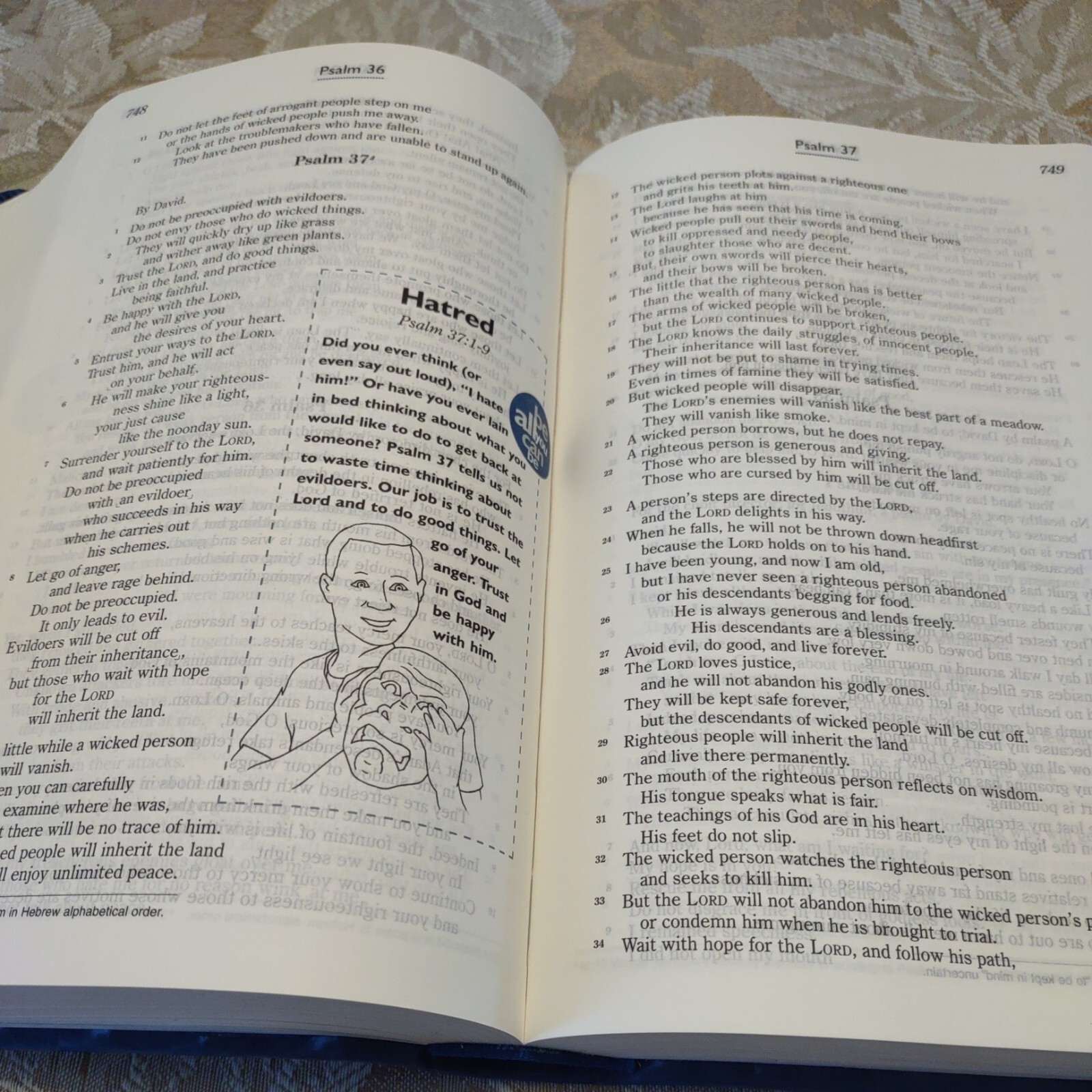 GODS WORD for Boys Blue Prism Duravella VERY GOOD 2008 “3D Cover”
