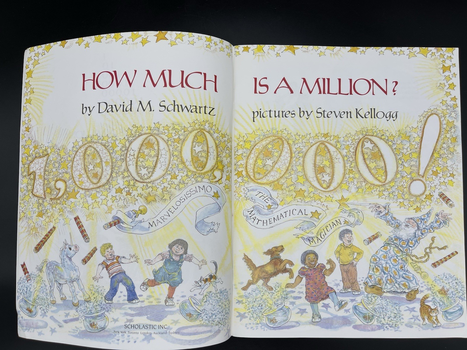 How Much Is a Million? by David M. Schwartz 1985 Trade Paperback