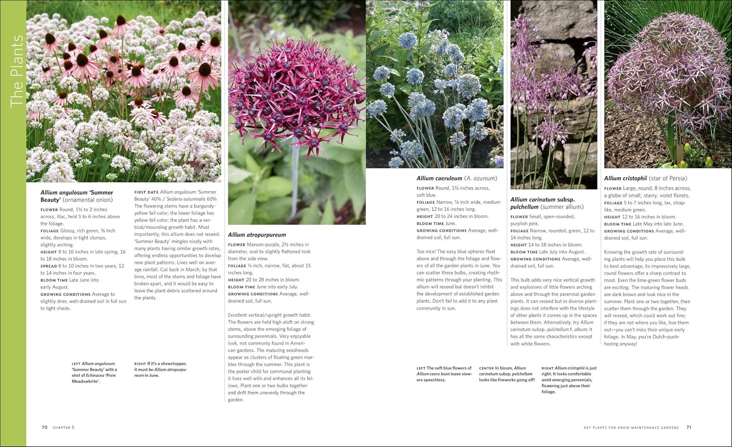 The Know Maintenance Perennial Garden