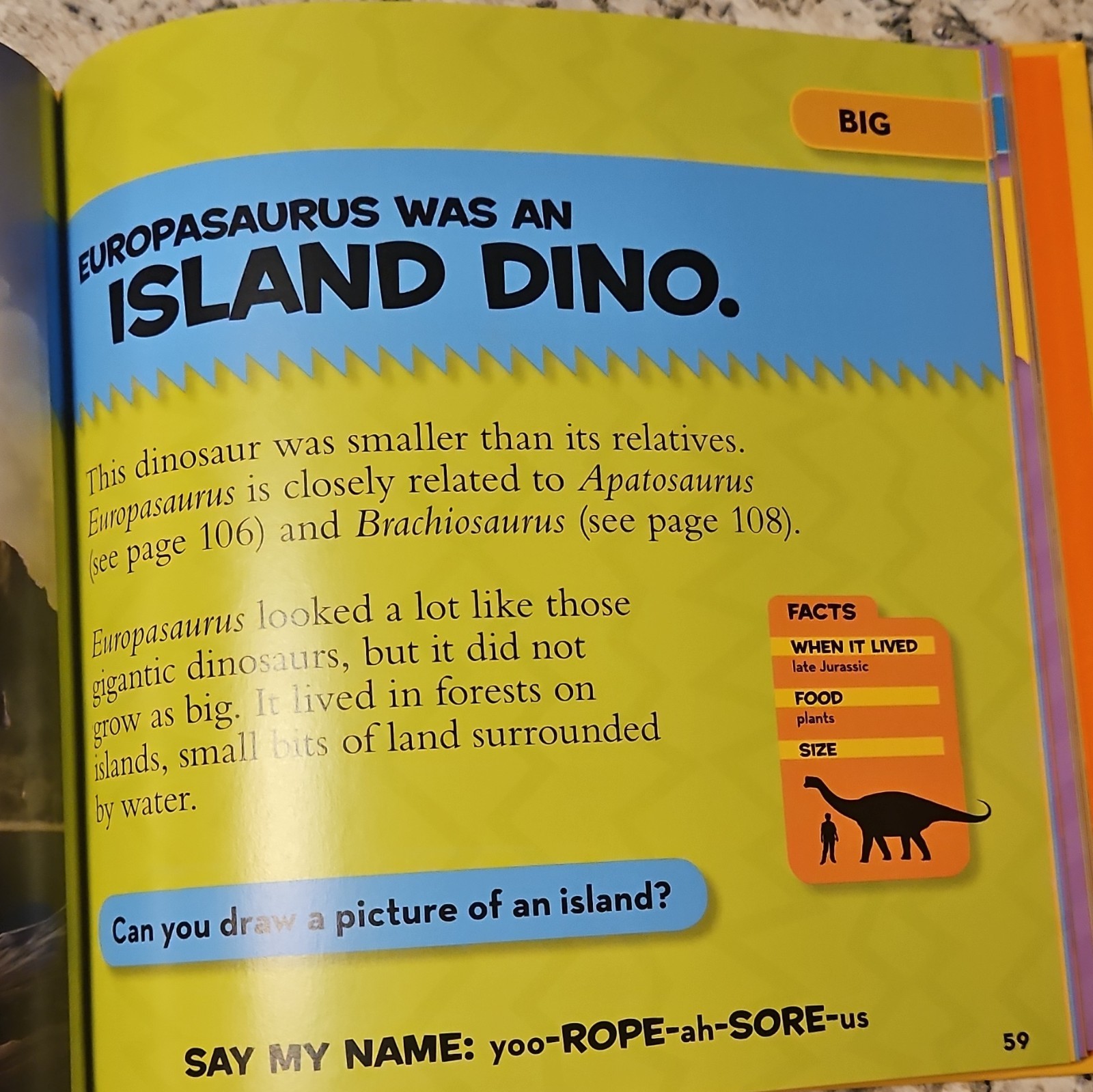 National Geographic Kids Dinosaurs by Catherine D. Hughes (2011 HC, Illus.)