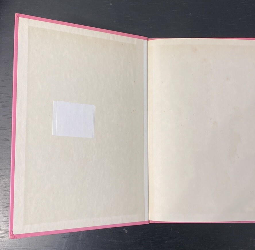 Vintage Rourke Dinosaur Library Books Orange Pink Lavender Decorative Bookshelf