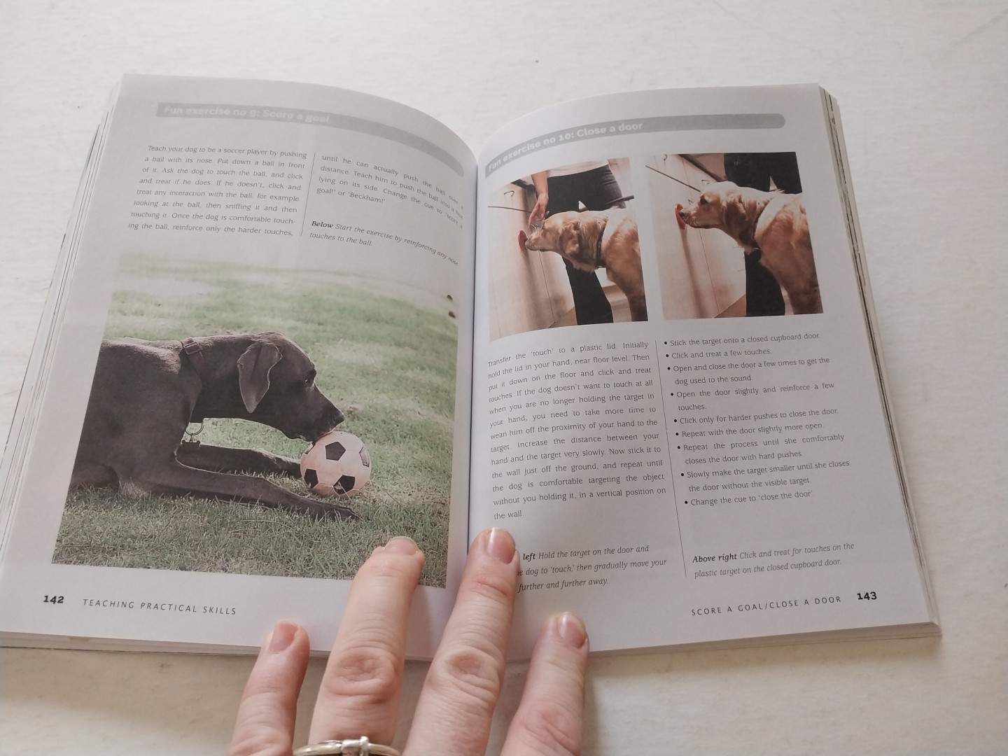 Bad Dog to Good Dog : A New Approach to Dog Psychology and Training by Quixi…