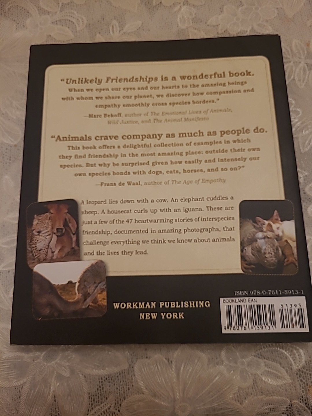 First Edition: Unlikely Friendships by Jennifer S. Holland Paperback Book