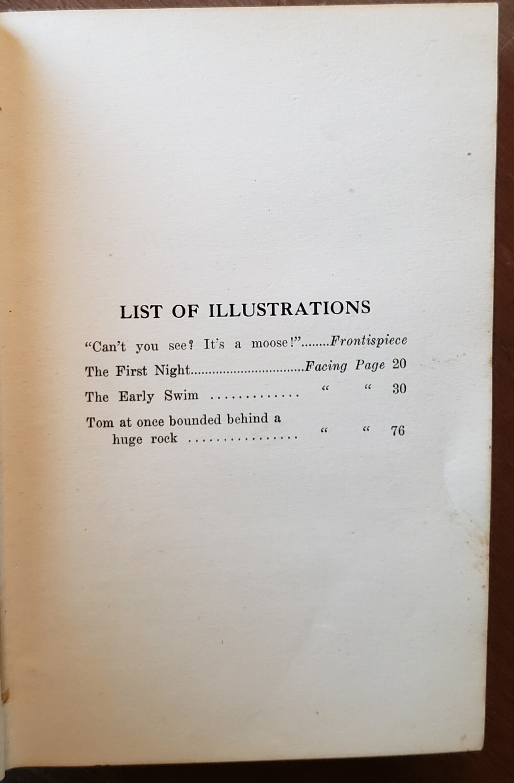 The Wilderness Campers by James C. Hodgins 1921 Canadian 265 pages Hardcover