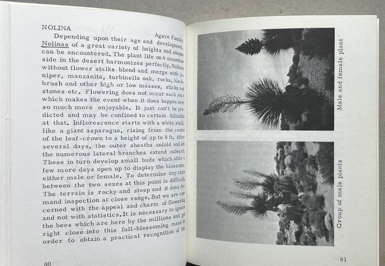 Mockel’s Desert Flower Notebook / Henry & Beverly Mockel / 1971 pb