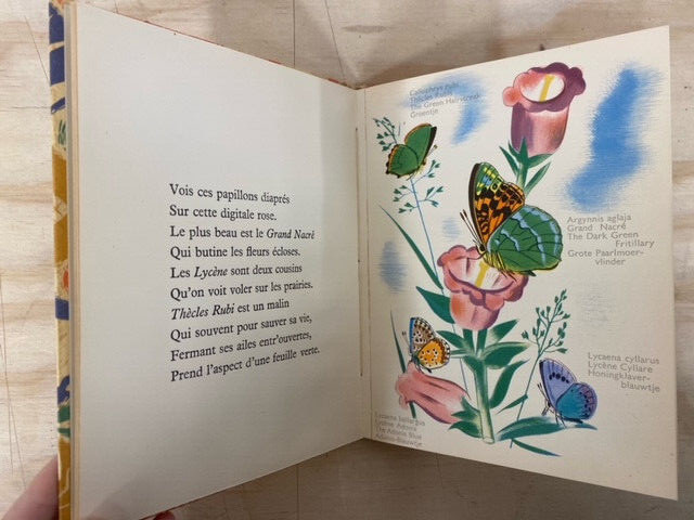 Papillons, Marcelle Vérité & Élisabeth Ivanovsky, Desclée de Brouwer, 1938