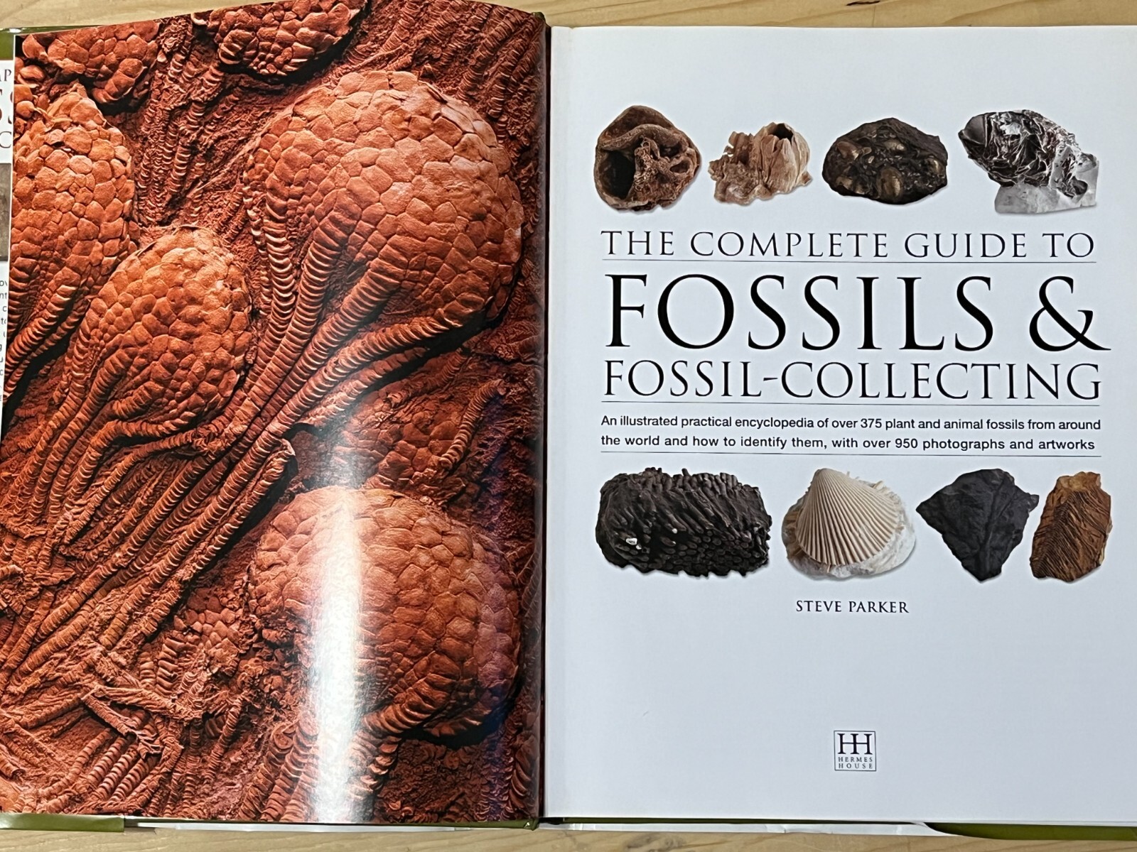 The Complete Guide to Fossils & Fossil-Collecting – Steve Parker, Hardcover DJ