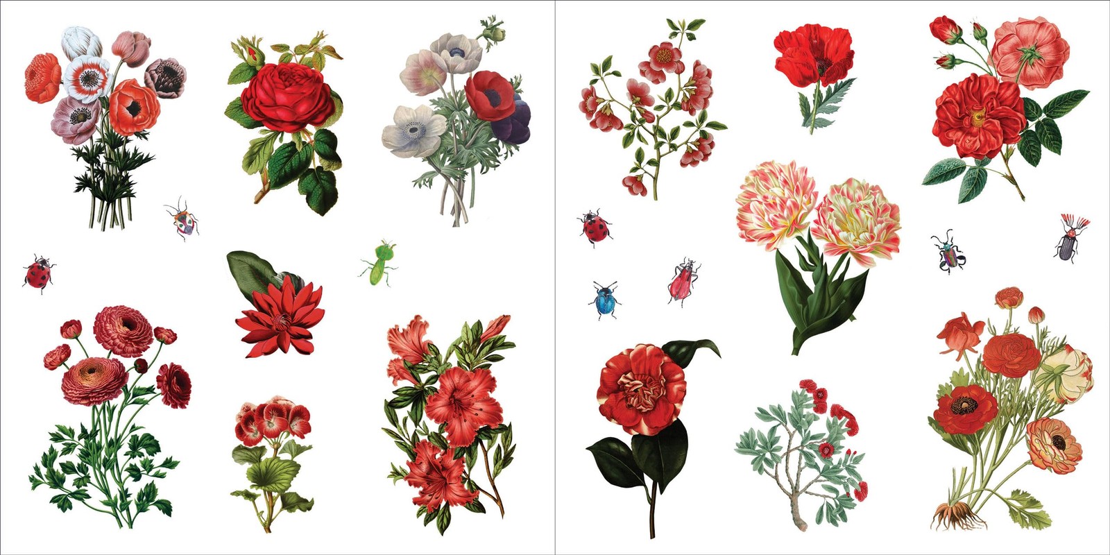 Bunches of Botanicals Sticker Book (Over 500 stickers!) – NEW