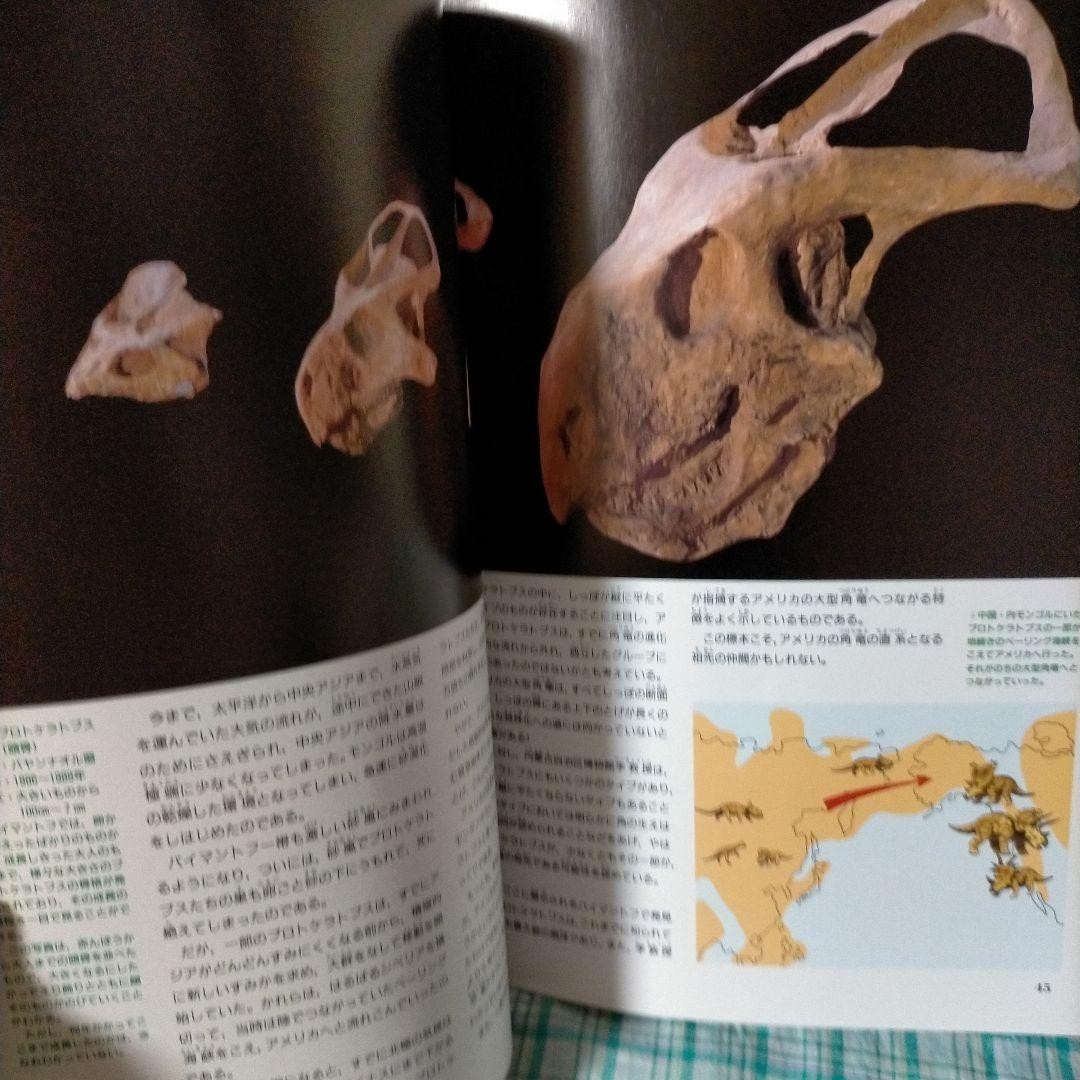Official Guide Book Dinosaur Expo Fossils Photos China 21cm