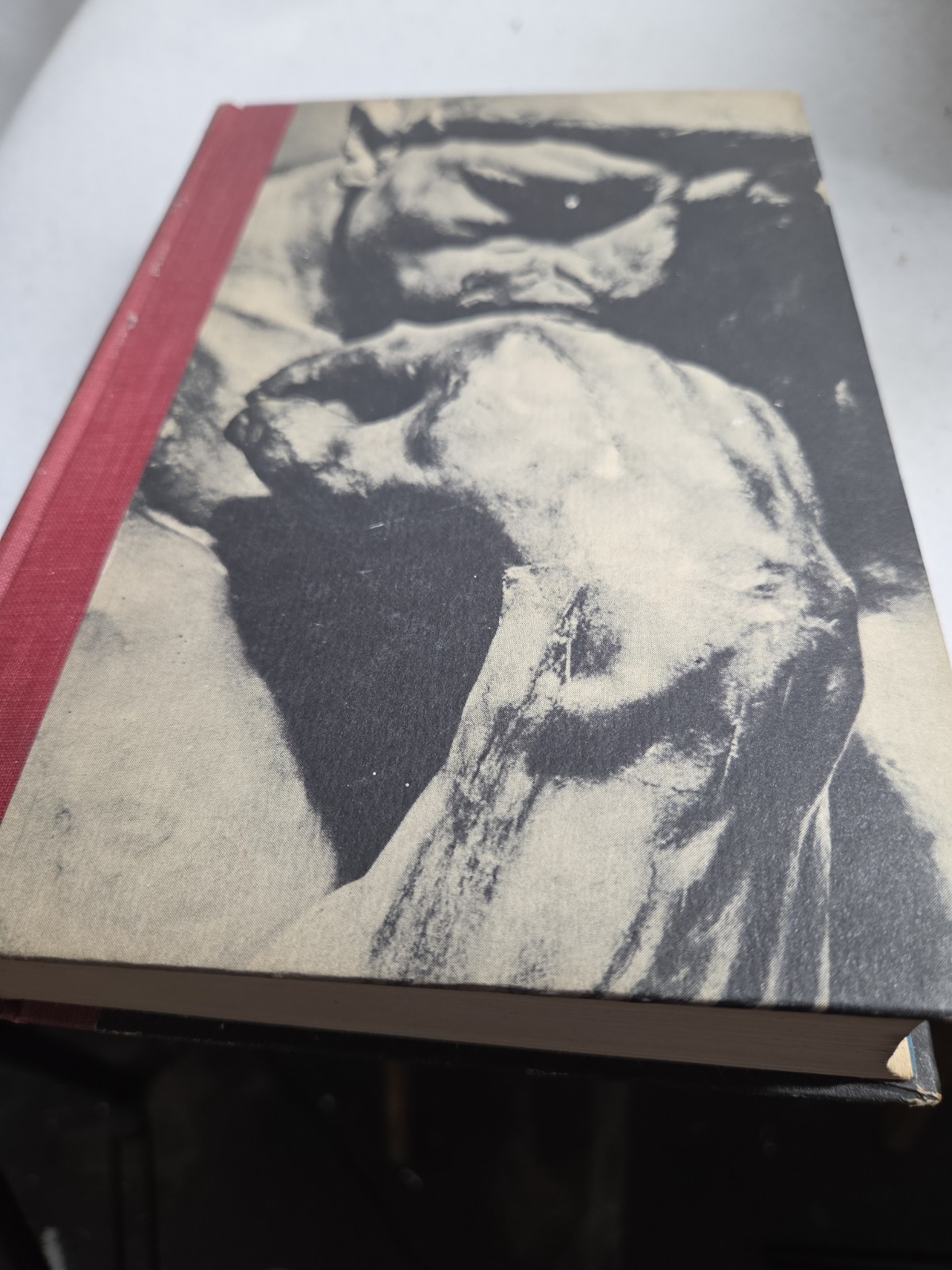 Masterworks of World Literature Revised Edition Volume 1 Homer to Cervantes