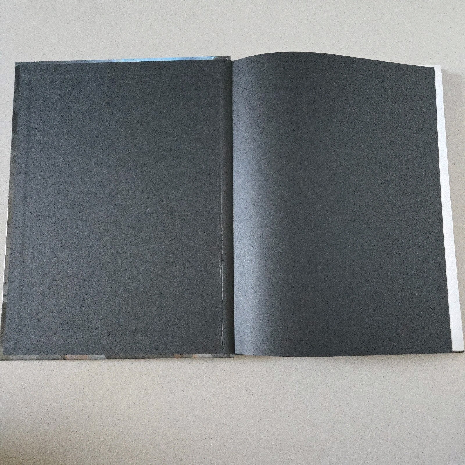 Van Richten’s Guide to Ravenloft by Dungeons & Dragons