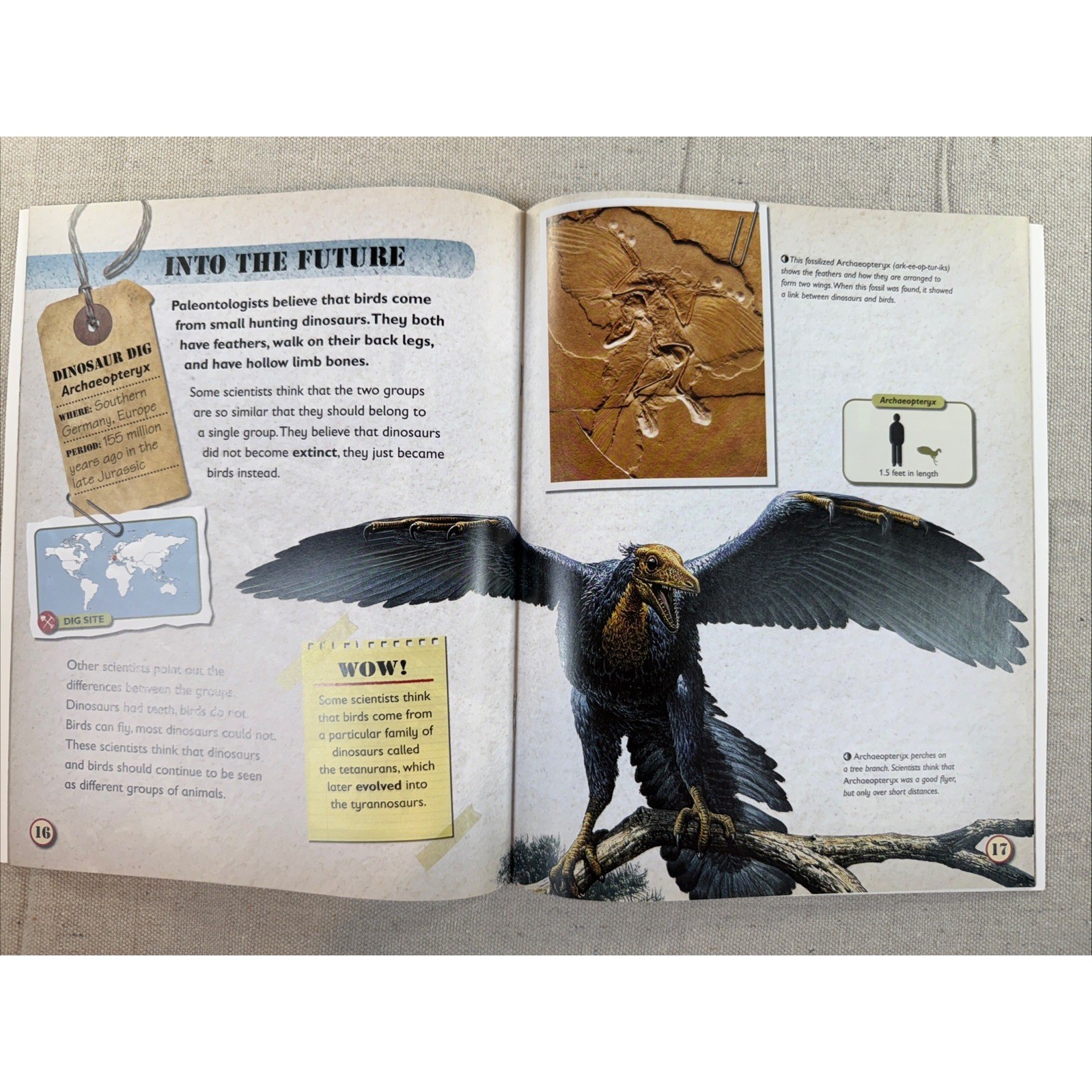 Dinosaur Books Kids Set 4 Rupert Matthews QEB Fossil Science Lot