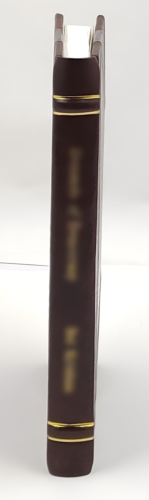 54th Pioneer Infantry with the Army of Occupation, Thi 1919 [Crafted Leather]