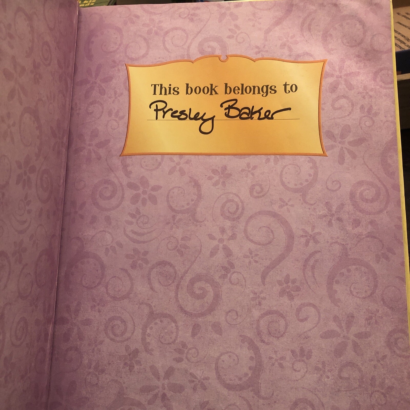 Disney’s Storybook Collection Lot by Disney Book Group Staff (1997-2014)