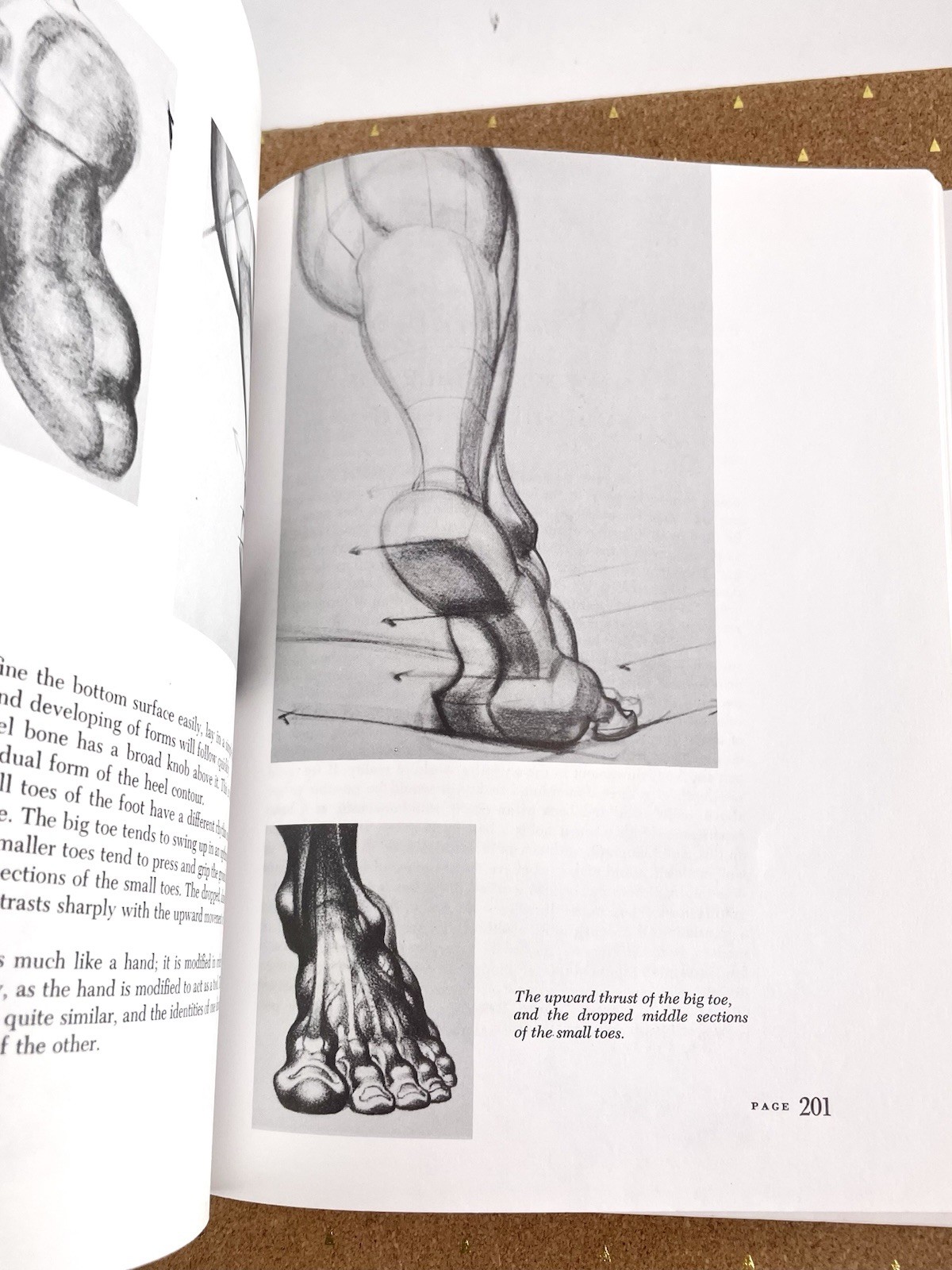 VTG 1990 Dynamic Anatomy SC Burne Hogarth Measurements Proportions Anatomical