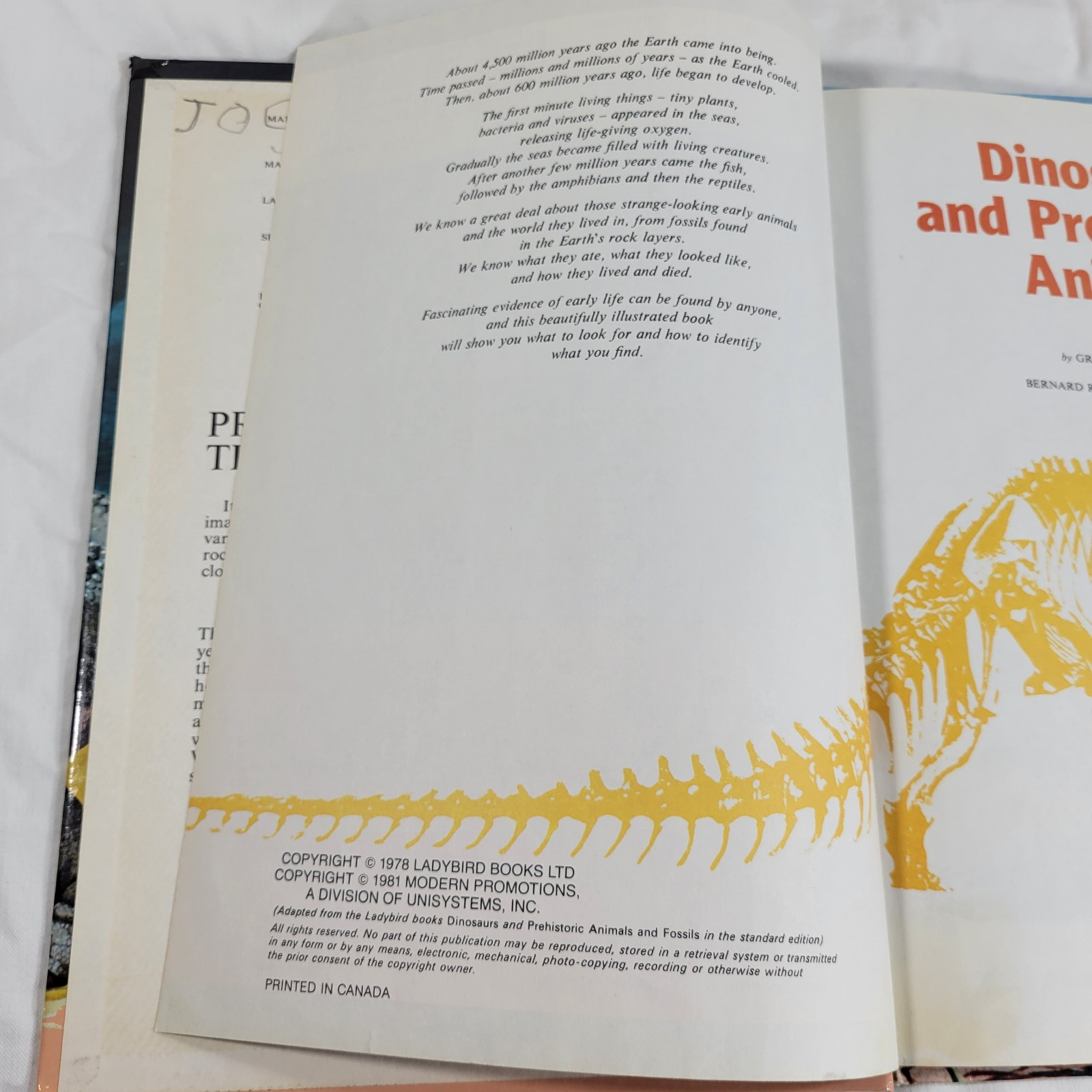 Dinosaurs And Prehistoric Animals Book Vintage 1981 Kid’s Hardcover Honey Bear