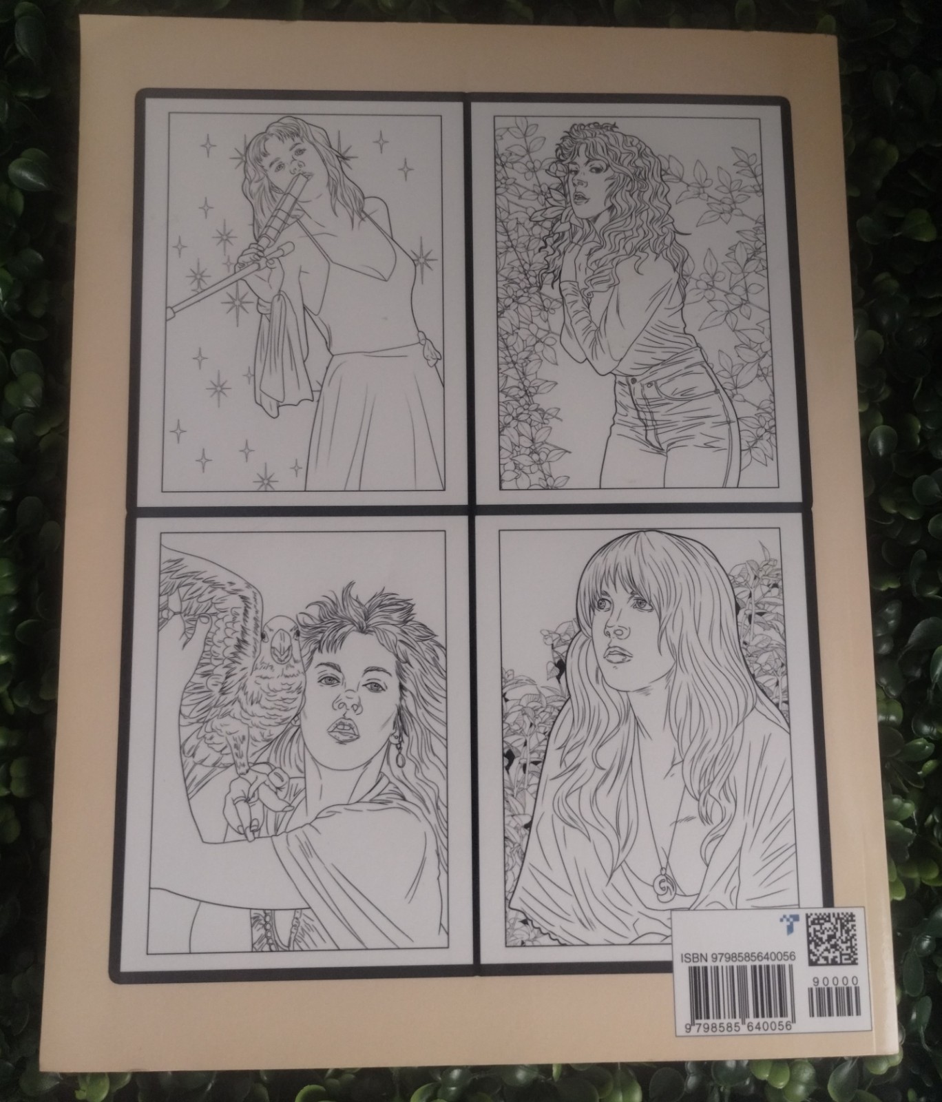 Stevie Nicks Coloring Book: An Cool Coloring Book With Lots Of Stevie Wonder…