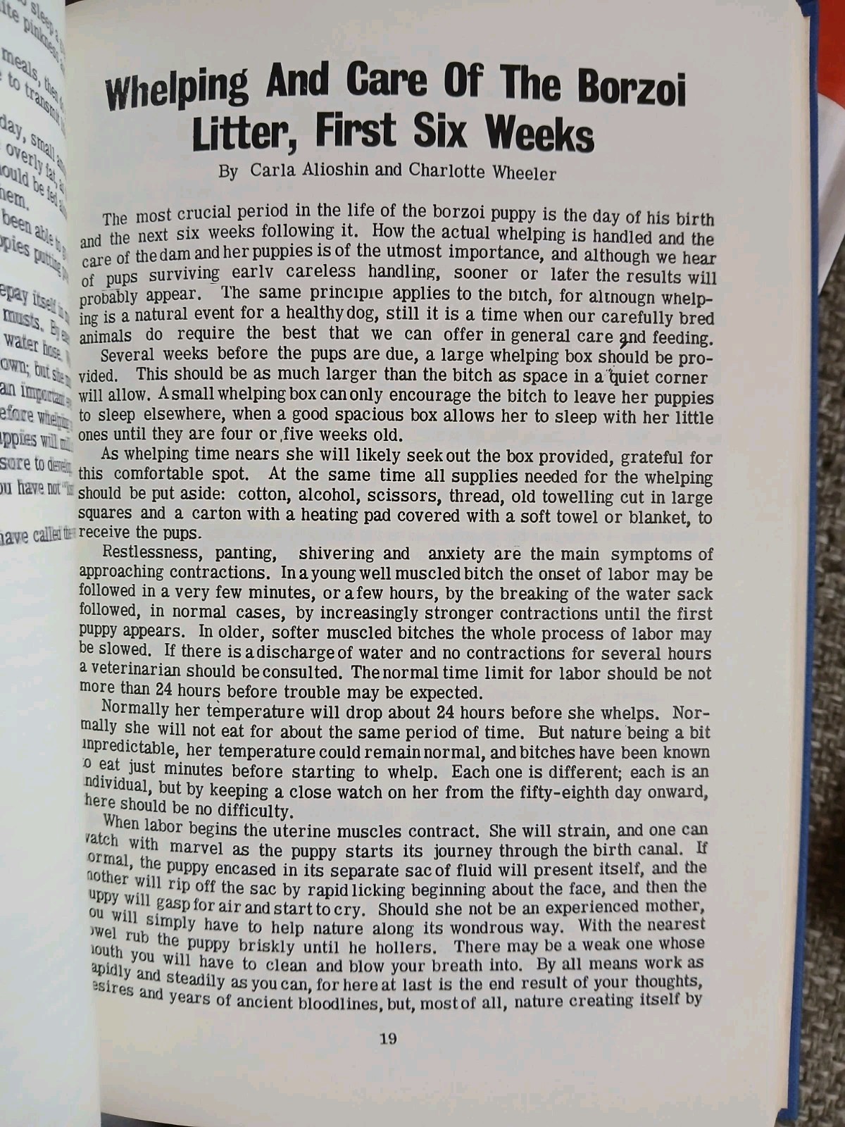 All About Borzoi Club of Northern California HC 1968 VGC Illustrated