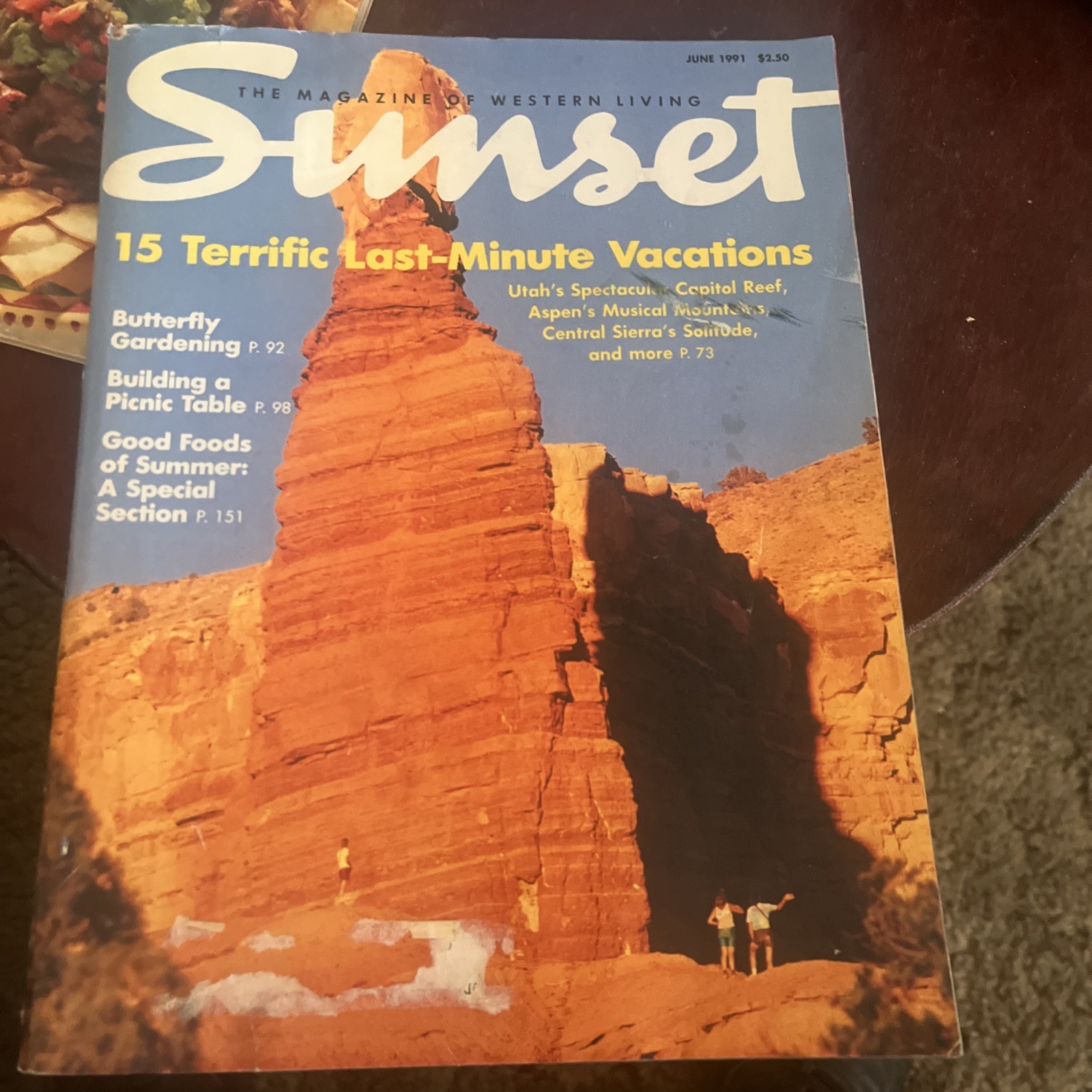 Sunset June 1991 Magazine 15 Terrific Last-Minute Vacations, Butterfly Gardening