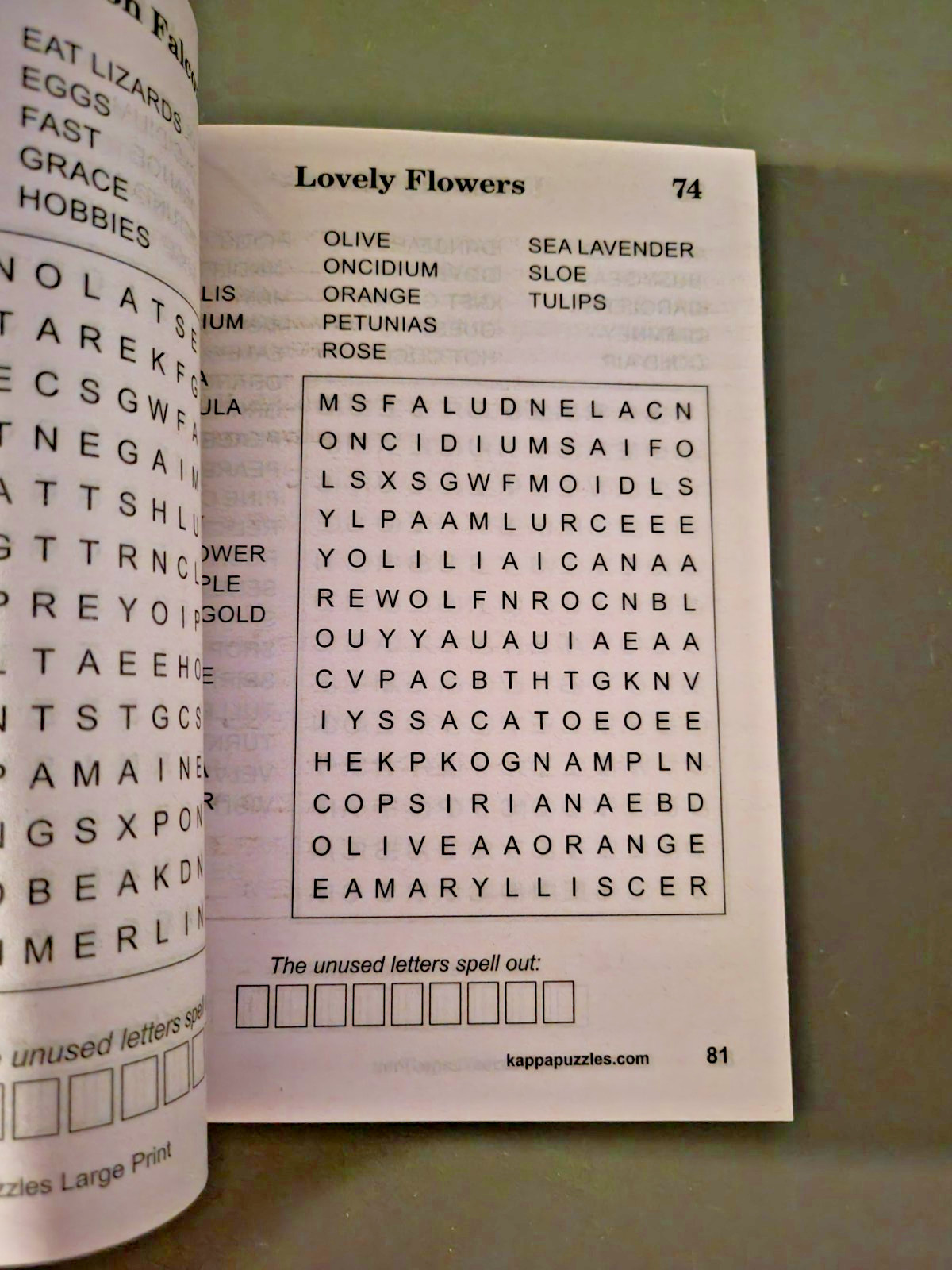 Lot of 4 Circle-A-Word Puzzle Books by Kappa – 530+ Challenges – Large Print