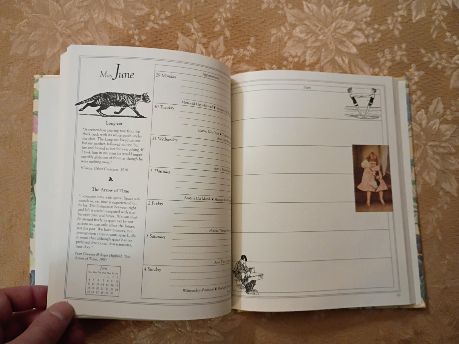 Our Old Fashioned Country Diary for 1995 Hardcover Floral Illustrated Book
