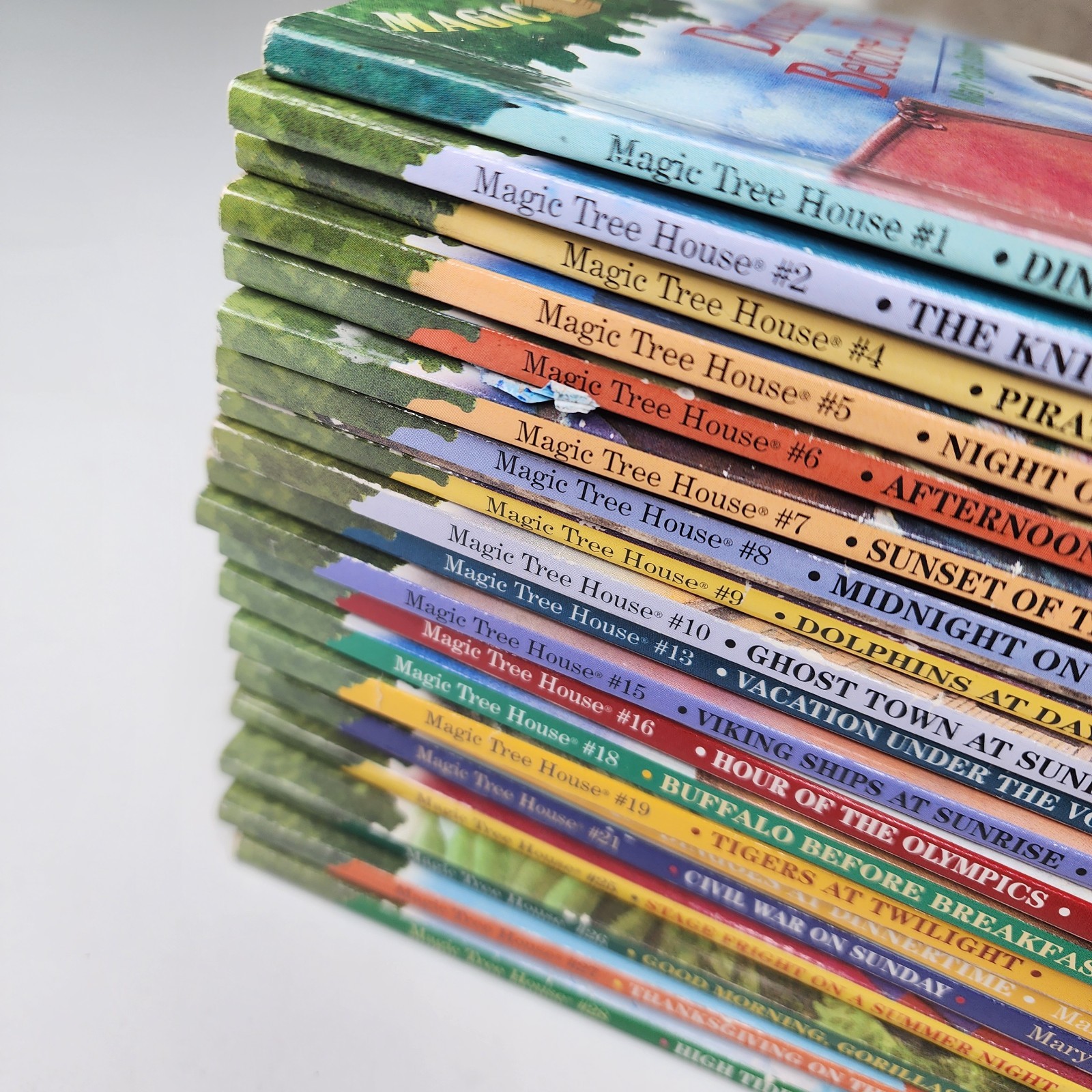 Magic Tree House Book Lot Mary Pope Osborne 20+ Books Kids Chapter Series