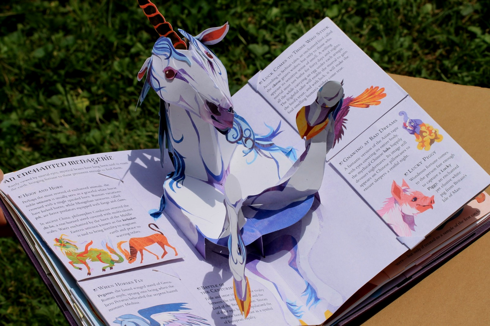 FAIRIES AND MAGICAL CREATURES Matthew Reinhart Robert Sabuda First Print Pop-Ups