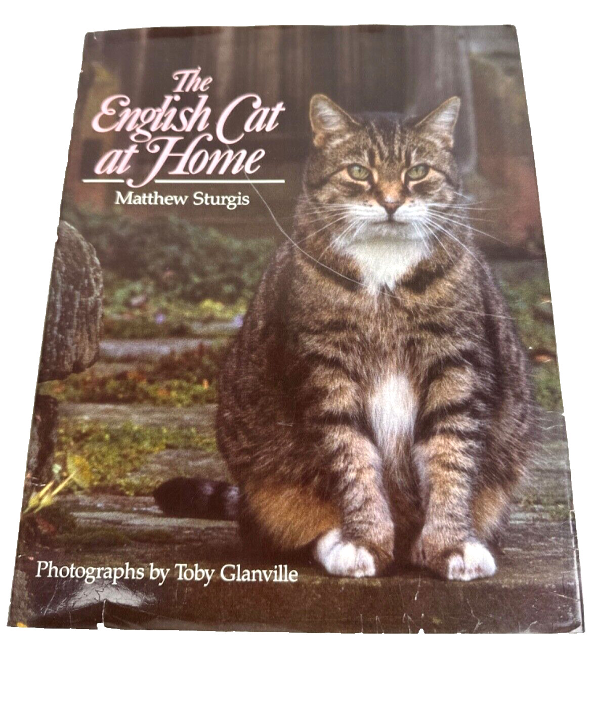 ‘The English Cat at Home’ by Matthew Sturges Hardcover Book 158 Pages c 1988