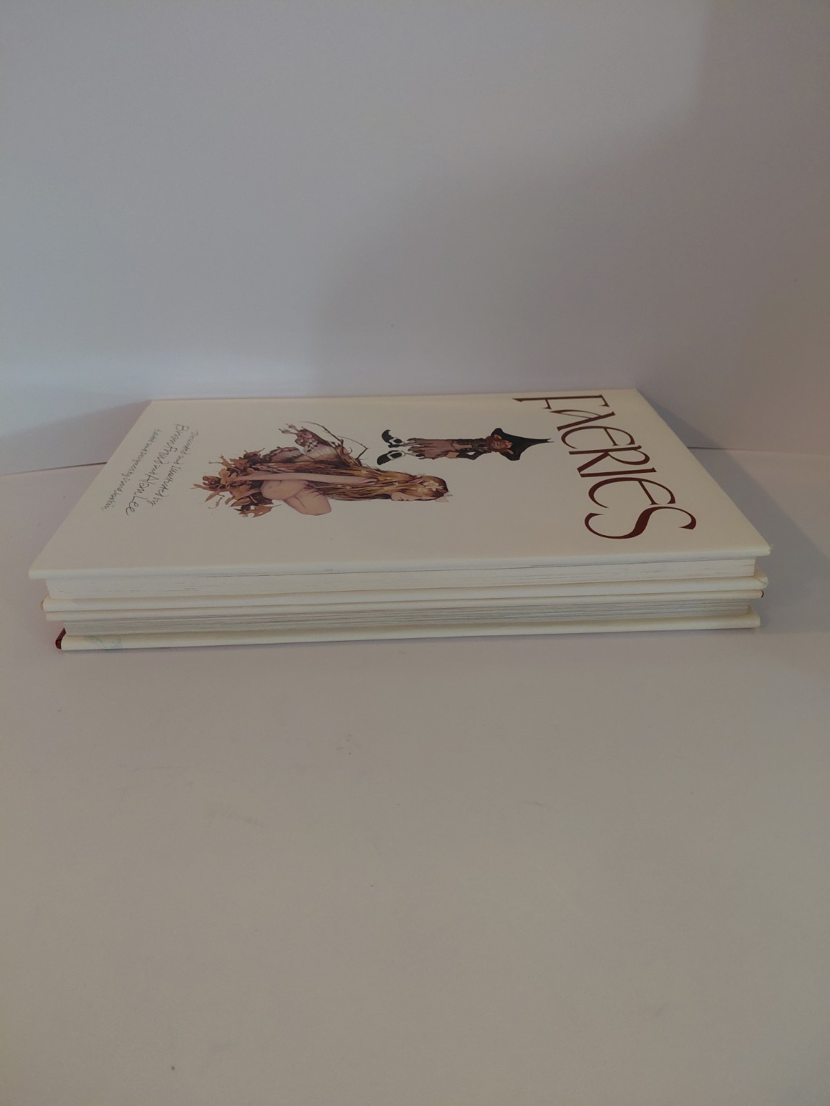 FAERIES Brian Froud Hardcover 1978 & 1979 Gnomes Huygen Illustrated Book Lot