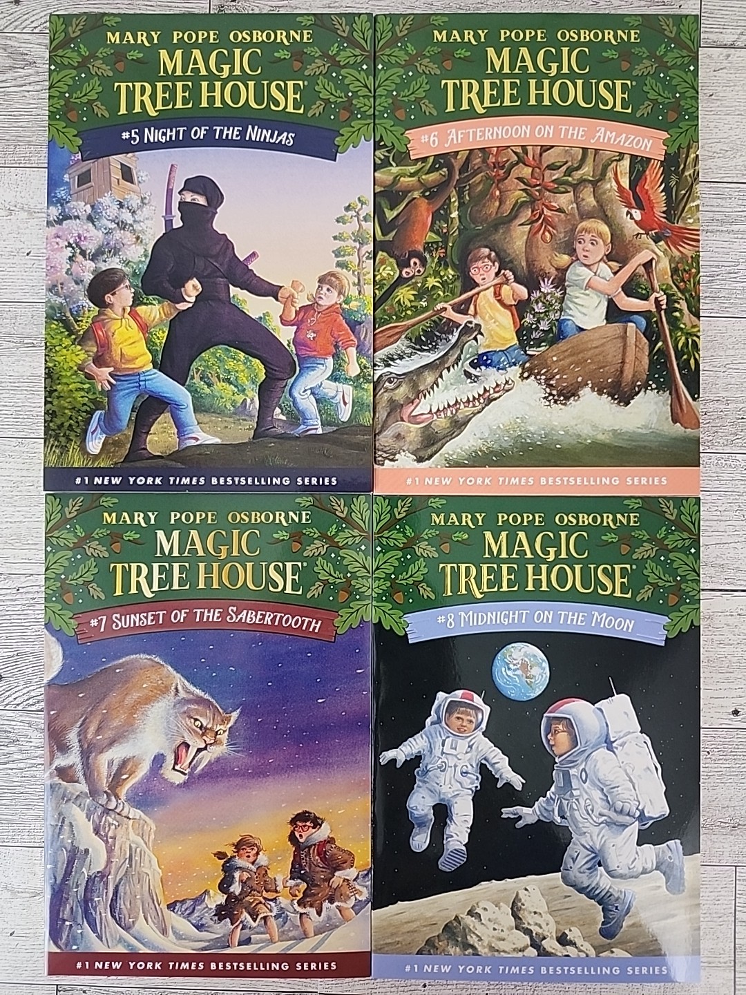 Magic Tree House Boxed Set, Books 5-8 Paperbacks Like New