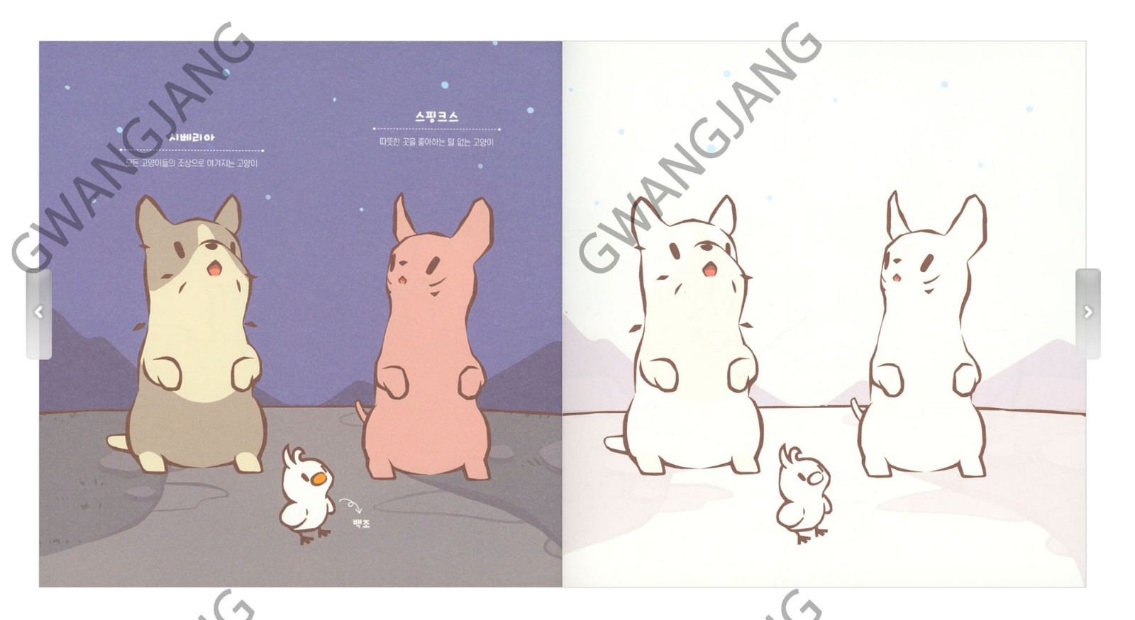 Cats and Soup Coloring Book 56 Pages 9Ⅹ9″ Paper Korea Game Kpop Epic Hot