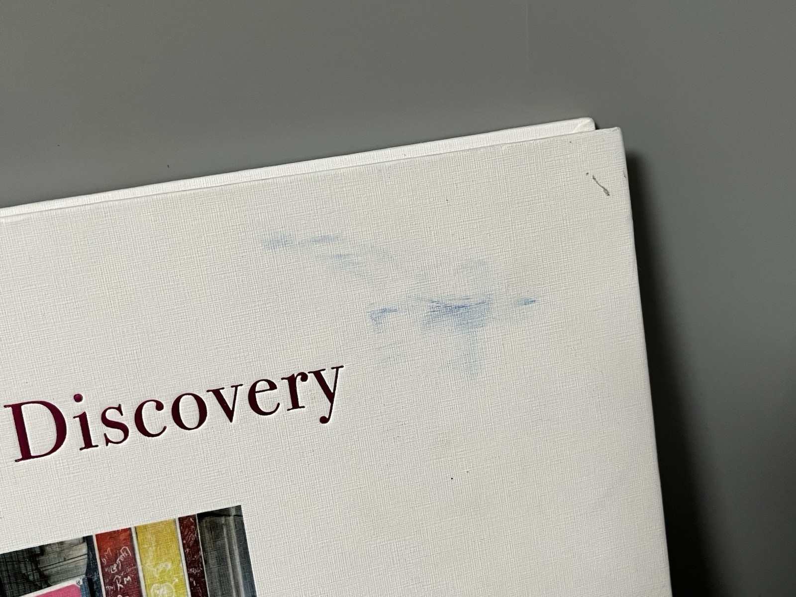 David Byrne – Voyage Of Discovery – Signed Autograph 2025 VIP Art Photo Book