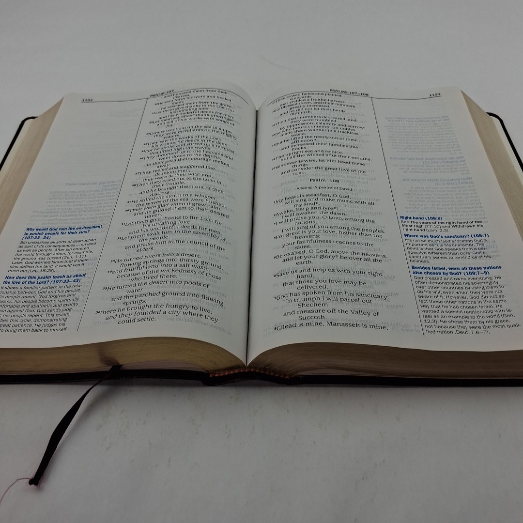 The Quest Study Bible New International Version Bonded Leather Large Print