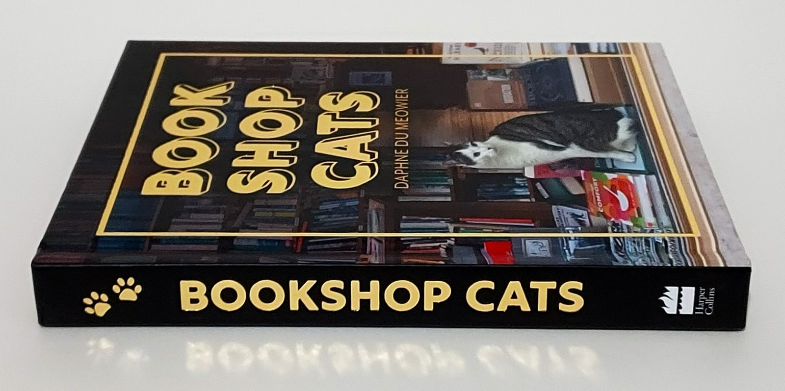 Bookshop Cats by Daphne du Maurier Hardcover Book Like New Literary Collection