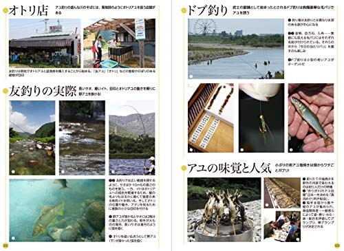 Fish & Fishing Guide 672 Pages: Species ID,Tackle & How to Clean (Japanese Book)