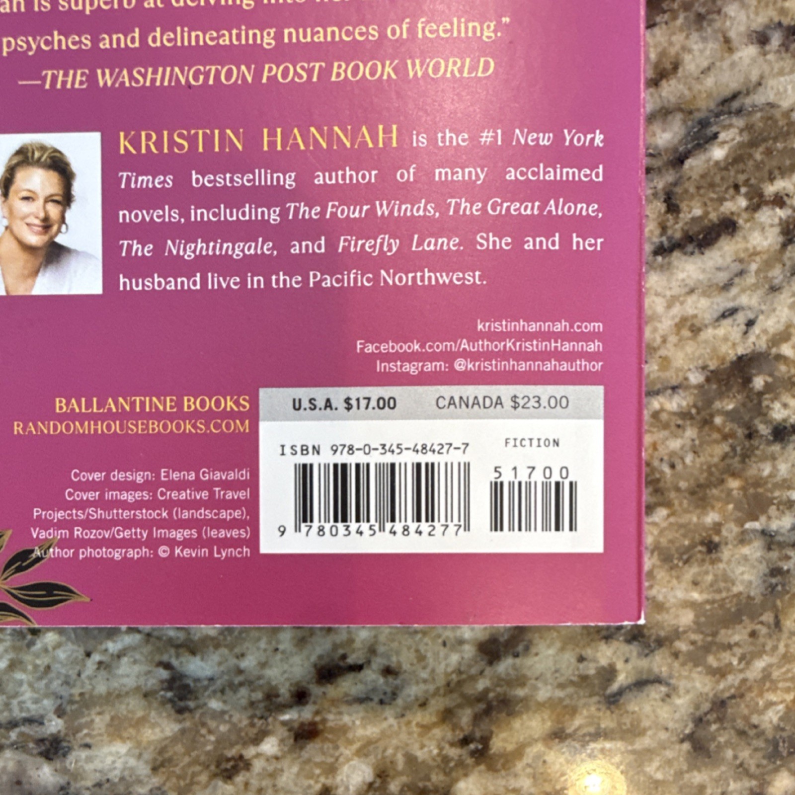 Kristin Hannah Angel Falls: A Novel Trade Paperback Fiction 2005
