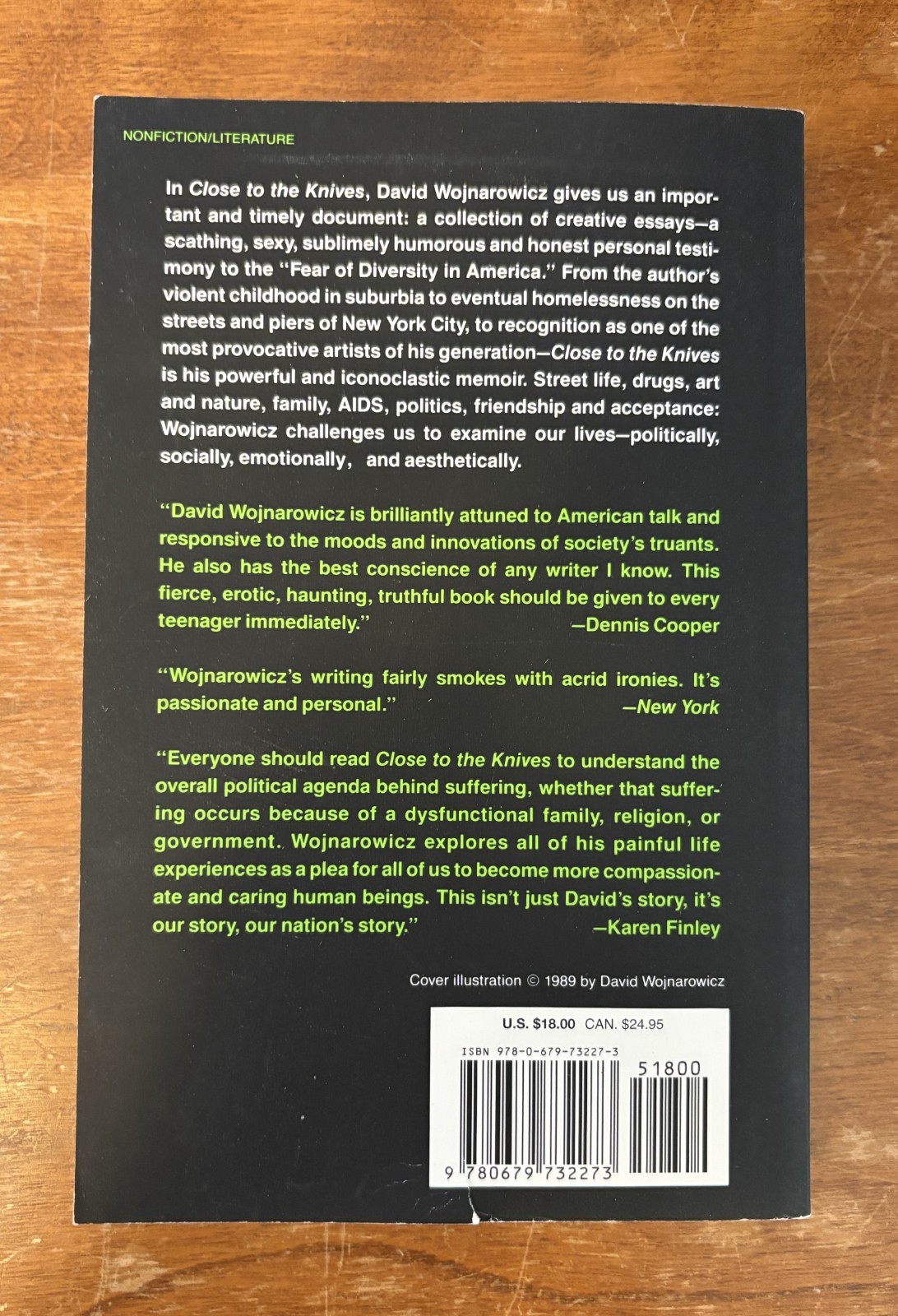 Close to the Knives: Memoir Disintegration David Wojnarowicz 1991 Gay Interest