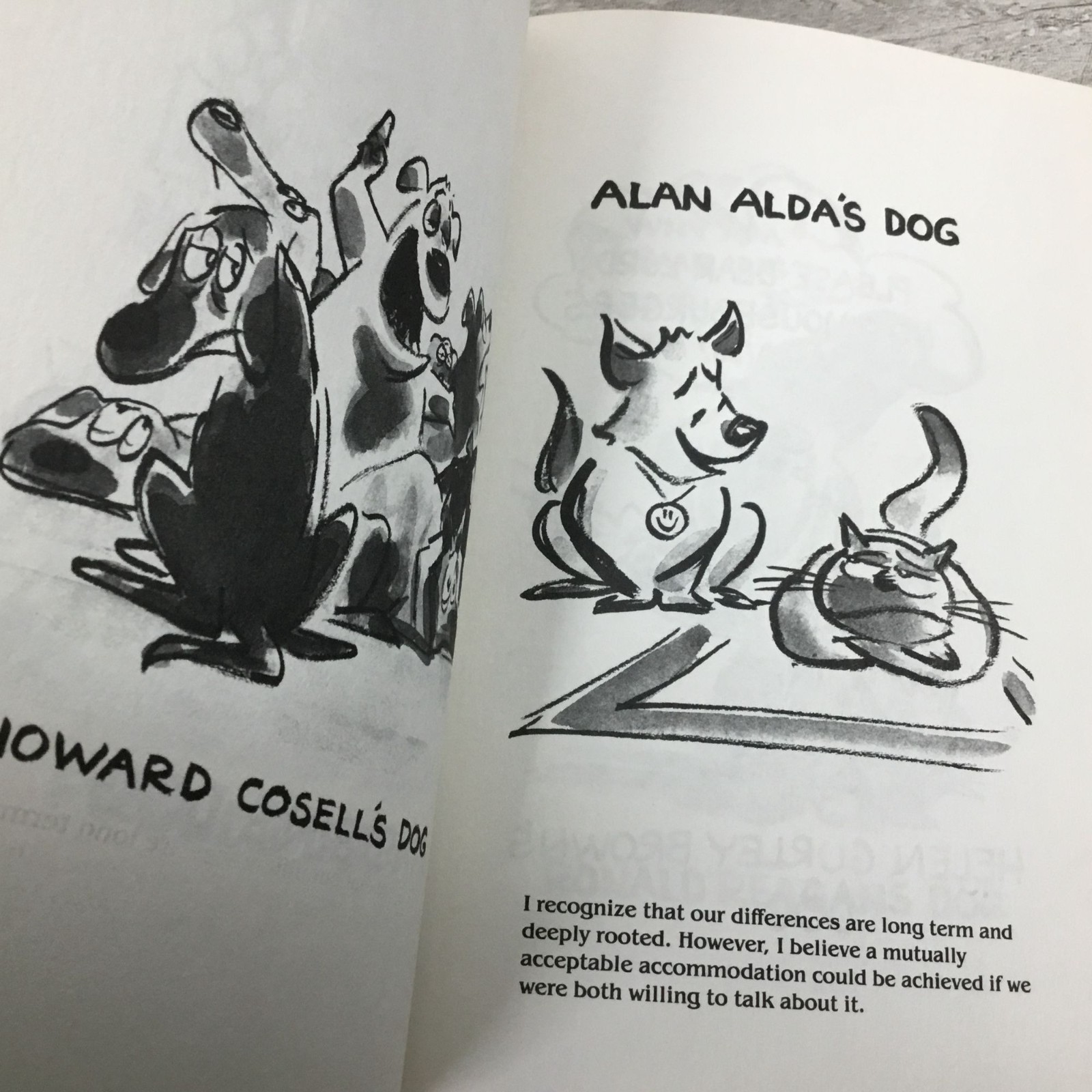 Real Dogs Dont Eat Leftovers By Lee Lorenz Hardcover Book Club Edition 1983
