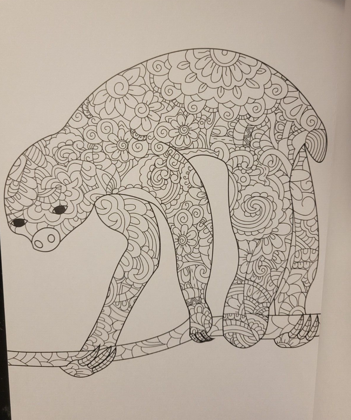 MAJESTIC CREATURES Vol 13 Adult Coloring Book With 47 Prints Ready To Frame
