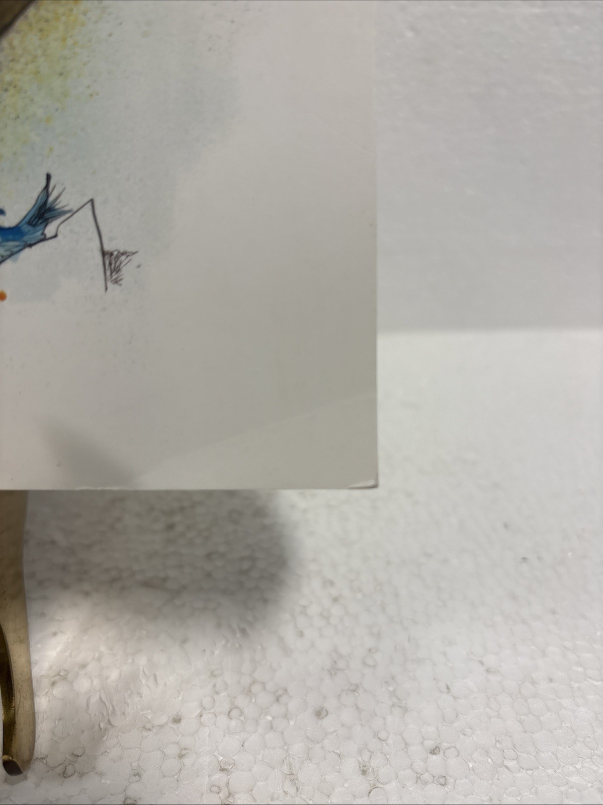 Extinct Boids by Ceri Levy and Ralph Steadman, 2020, First Printing