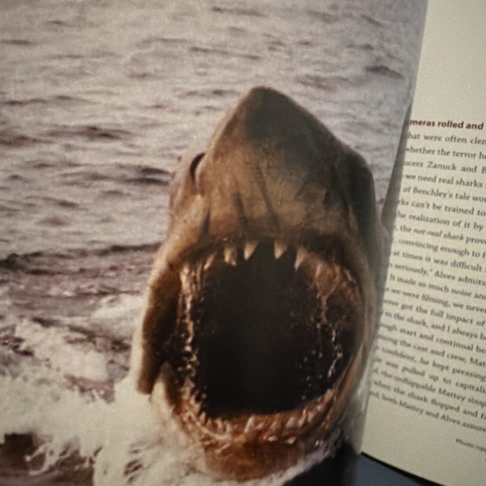 Designing Jaws Sketch Book SHARK By Joe Alves CATALINA 1st ED Steven Spielberg