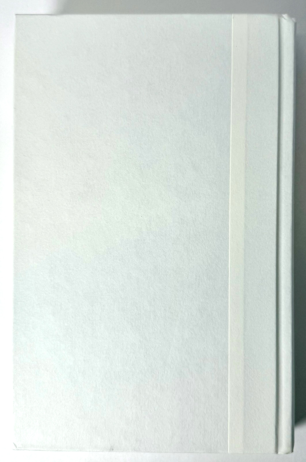 Endless Summer, Elin Hilderbrand 2022 1st edition 1st print in Mylar, Near fine