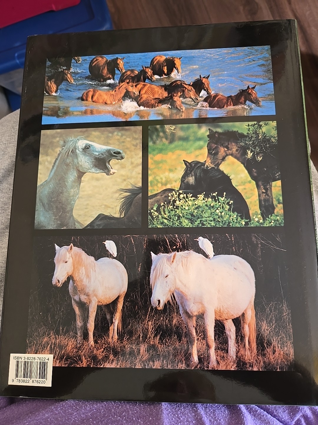 Such is the Real Nature of the Horses by Robert Vavra