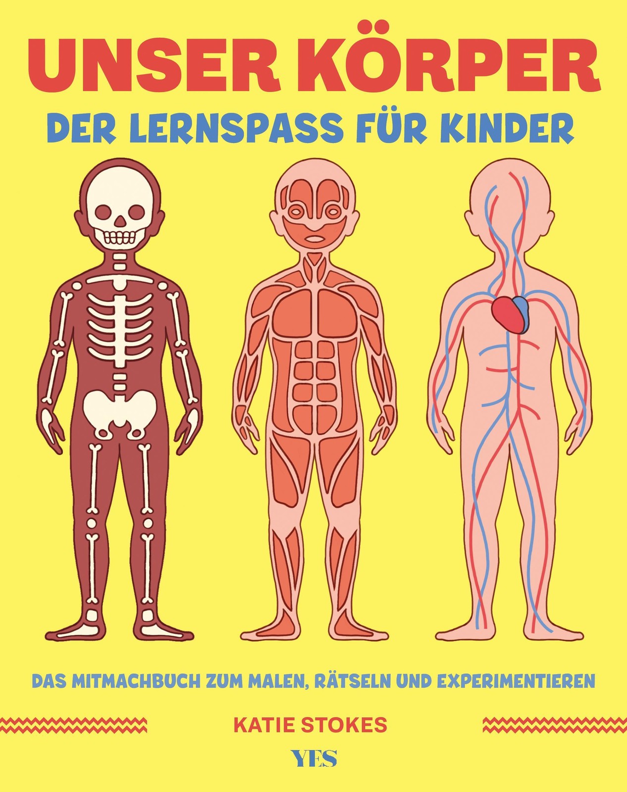 Unser Körper, Katie Stokes