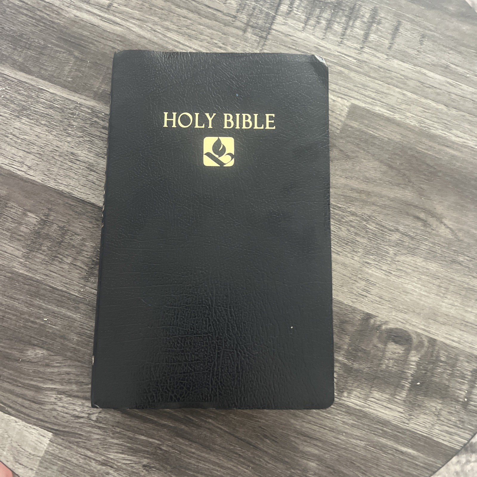 Holy Bible The New Revised Standard Version Hendrickson