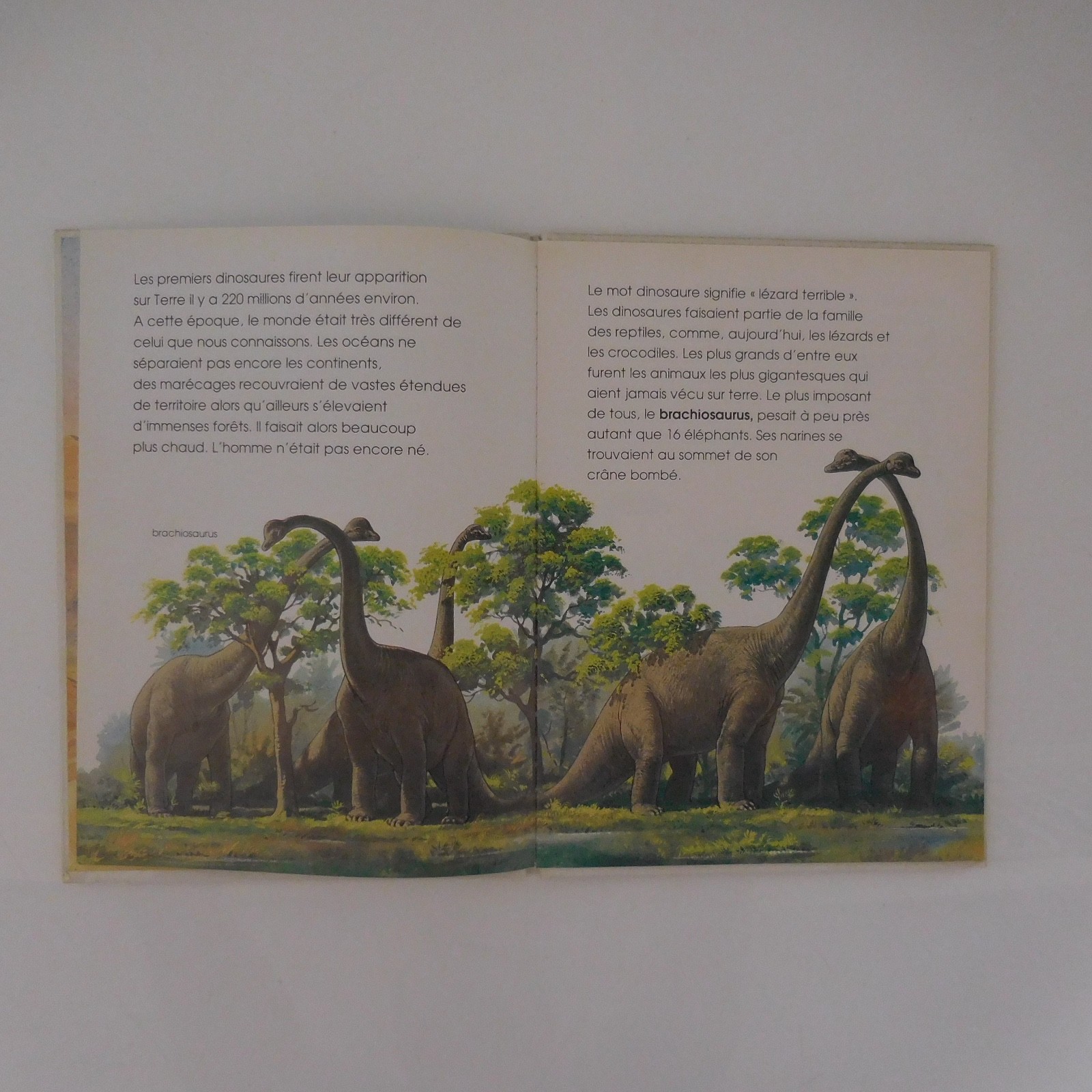 4 Lbs The Secret Life Of Beasts DINOSAURS THE GIANTS OF OUR PLANET 1979-90