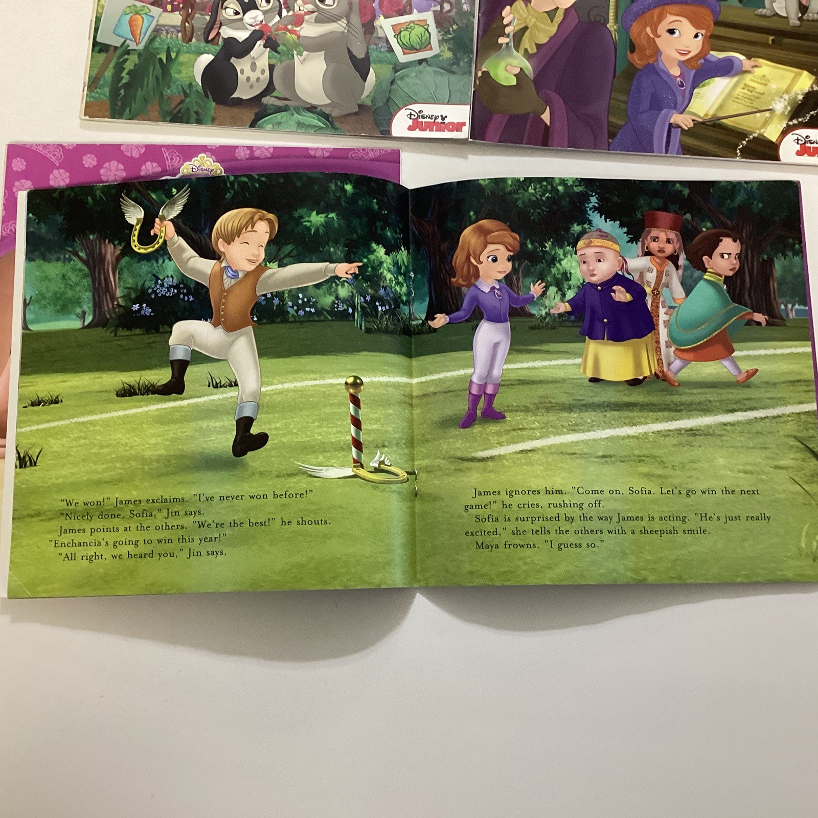 Sofia the First Preschool Kindergarten Picture Children’s Story 10 Book Lot