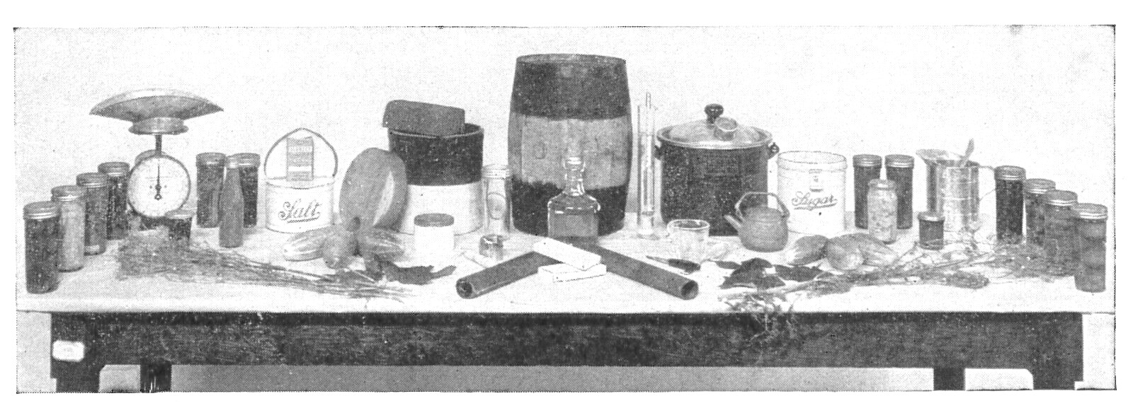Home Canning Preserving & Pickling 1936 Old Timey Recipe Book Homesteading 4H