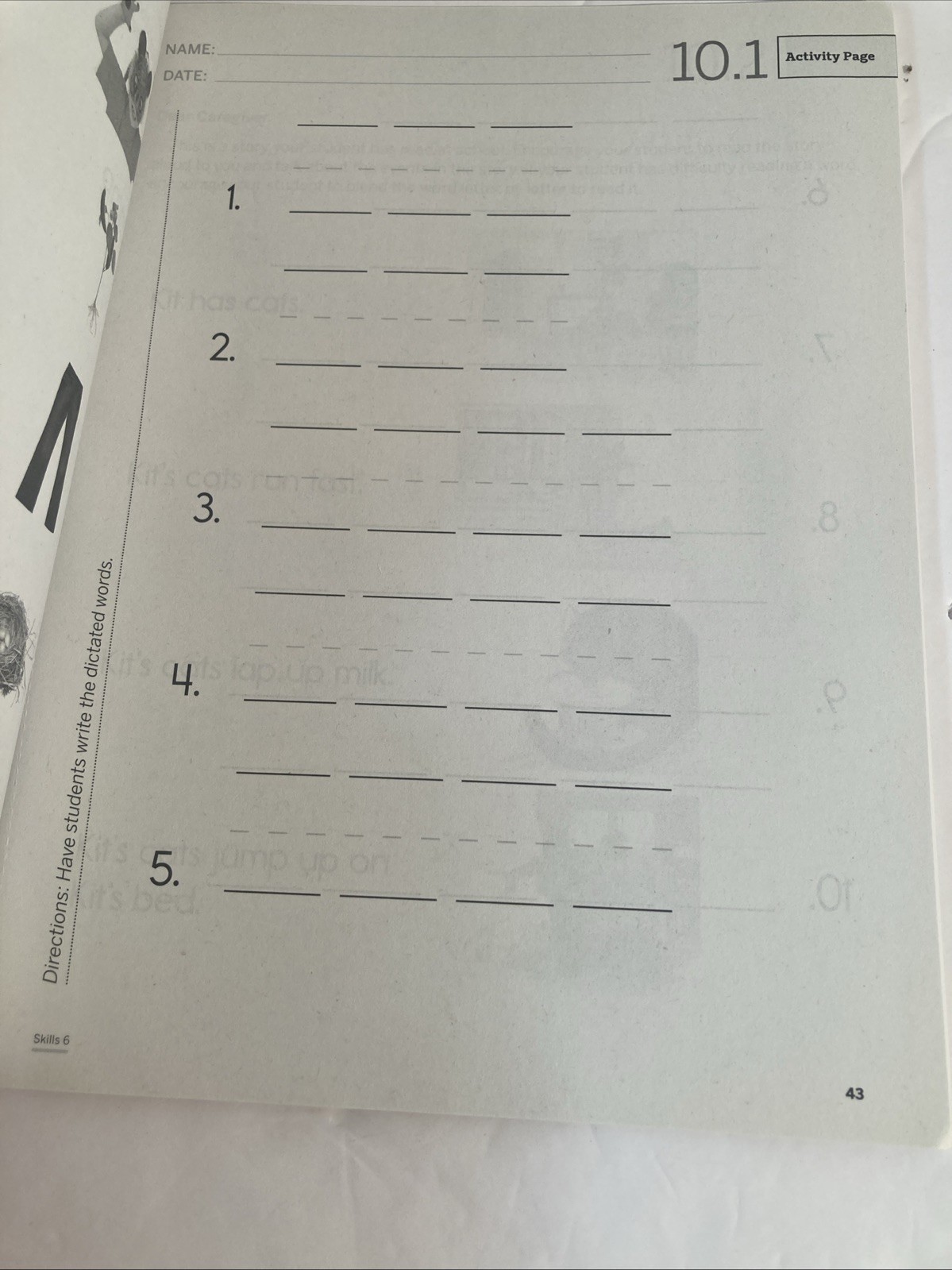 Amplify Core Knowledge Language Arts Skills 6 Activity Book Grade K